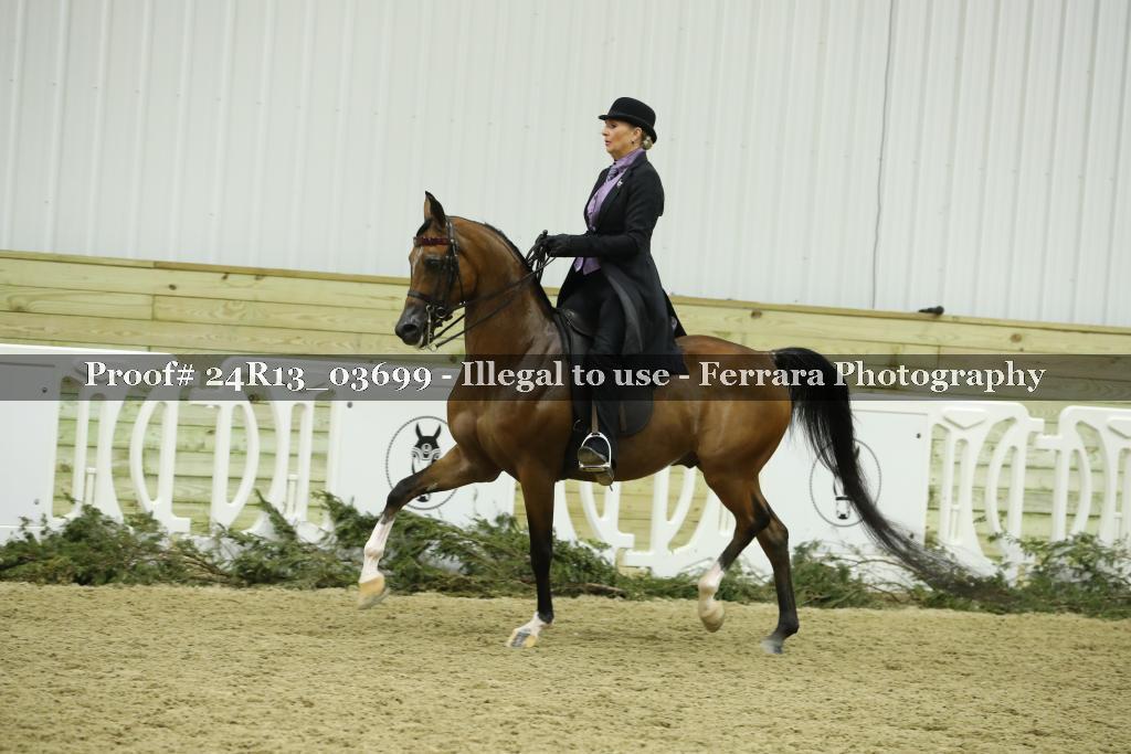 Proof 24R13_03699