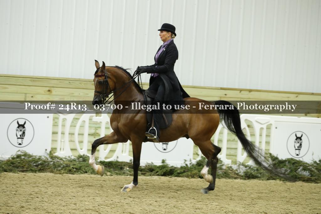 Proof 24R13_03700