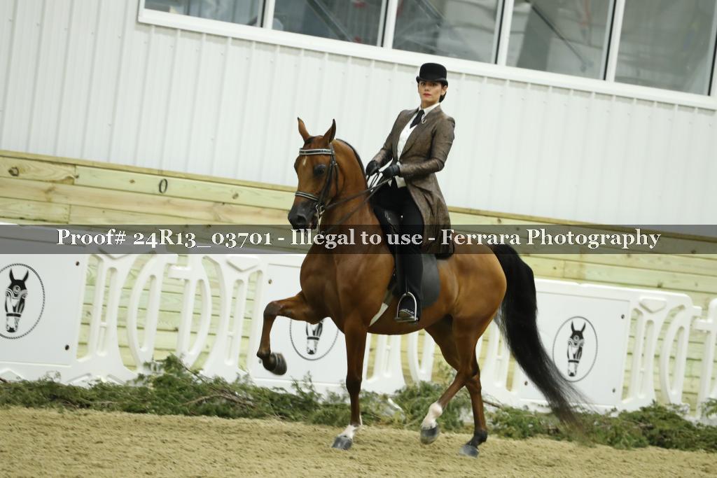 Proof 24R13_03701