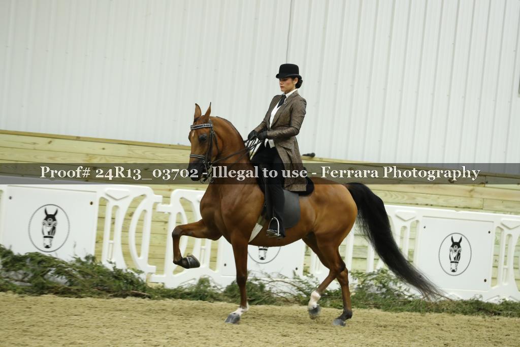 Proof 24R13_03702