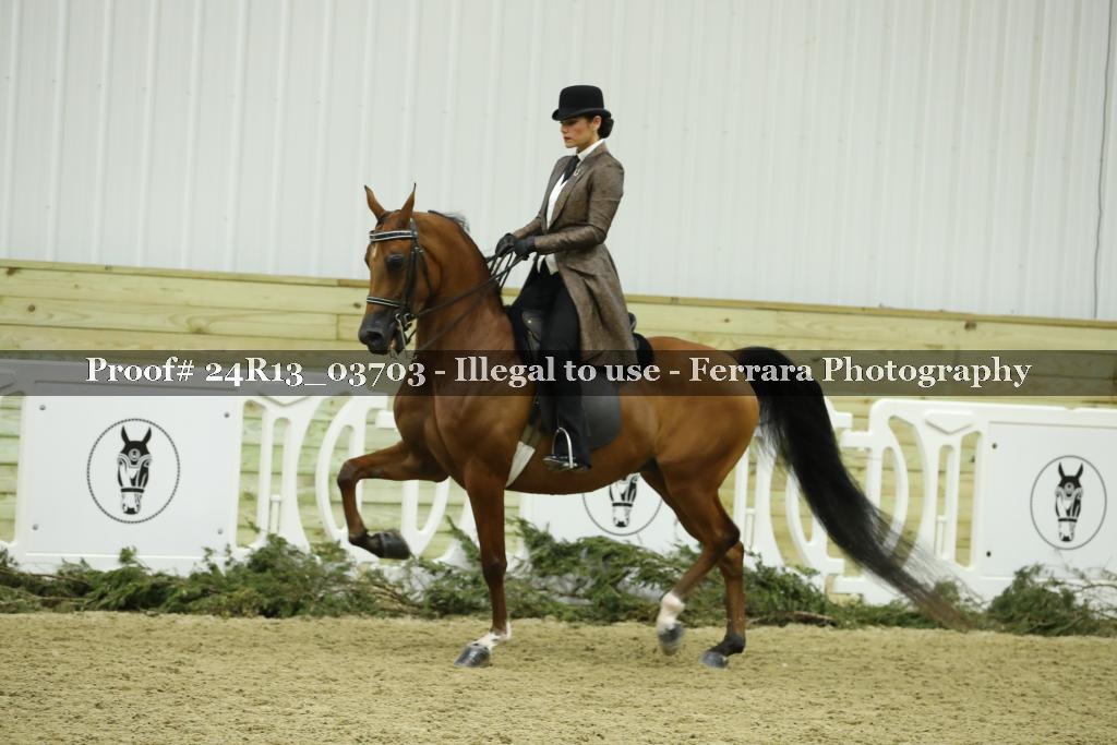 Proof 24R13_03703