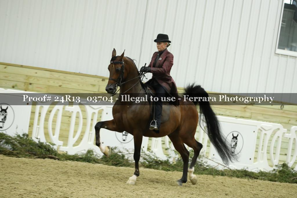 Proof 24R13_03704