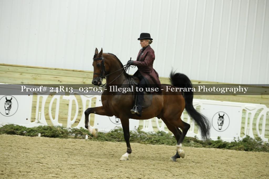 Proof 24R13_03705