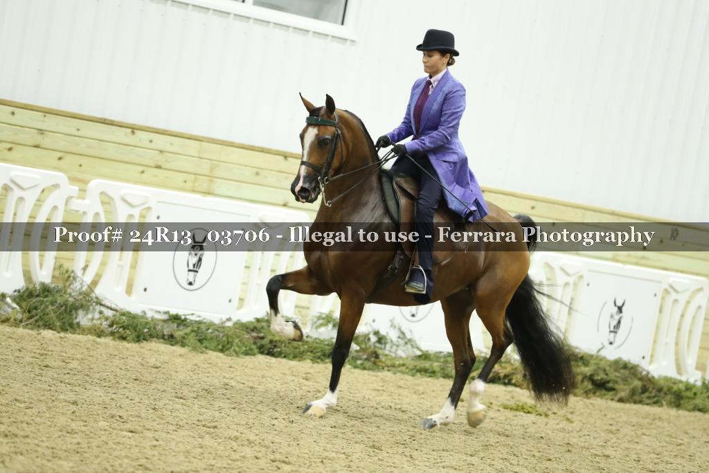Proof 24R13_03706