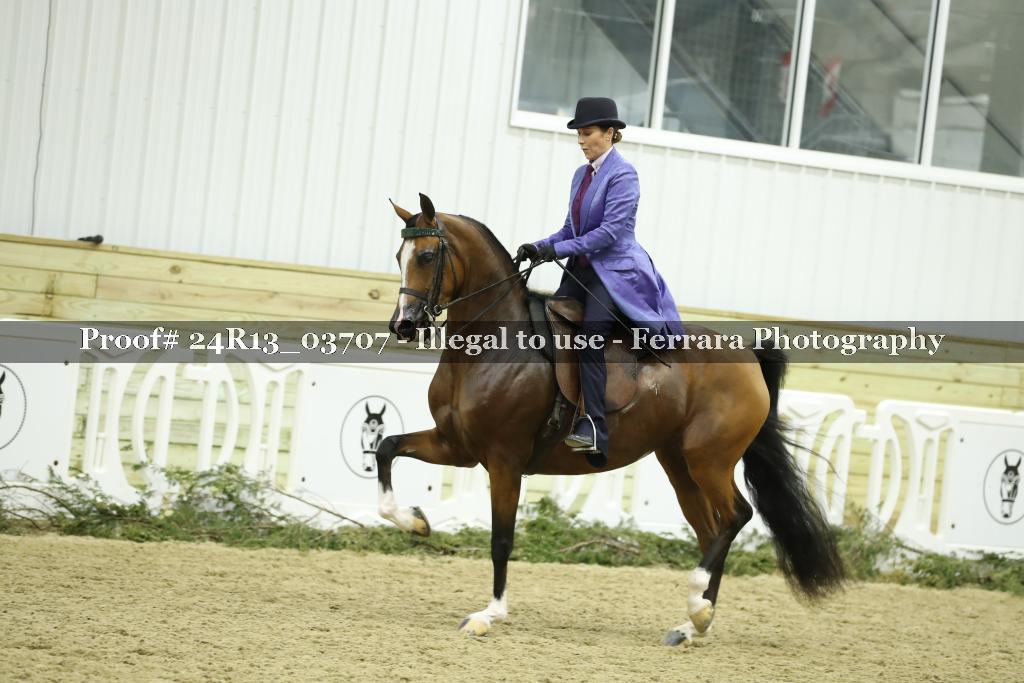 Proof 24R13_03707