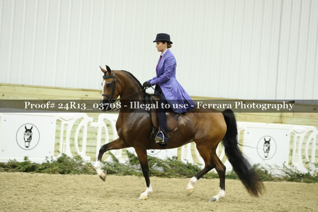 Proof 24R13_03708