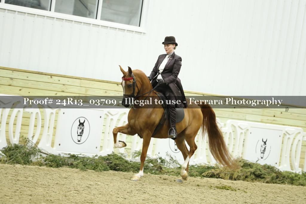 Proof 24R13_03709