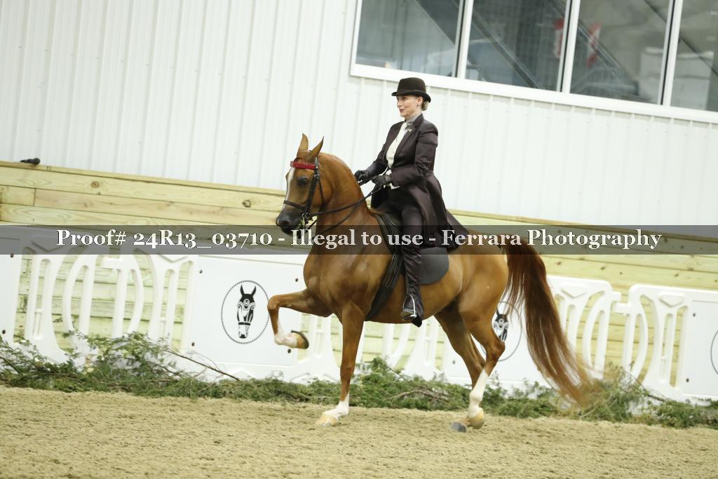 Proof 24R13_03710