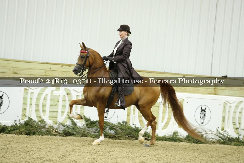 Proof 24R13_03711