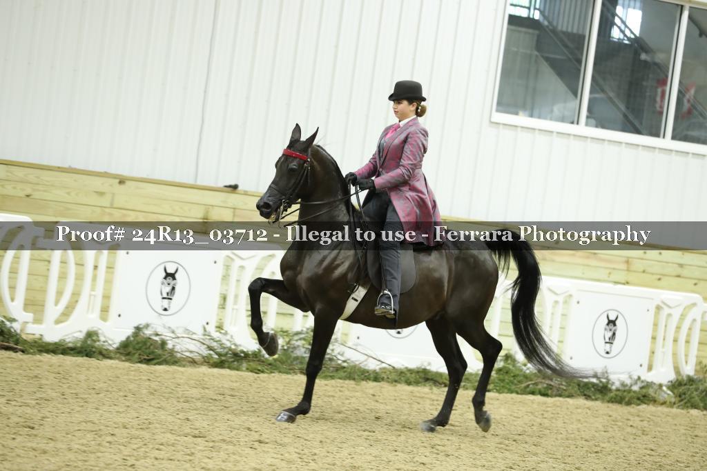 Proof 24R13_03712