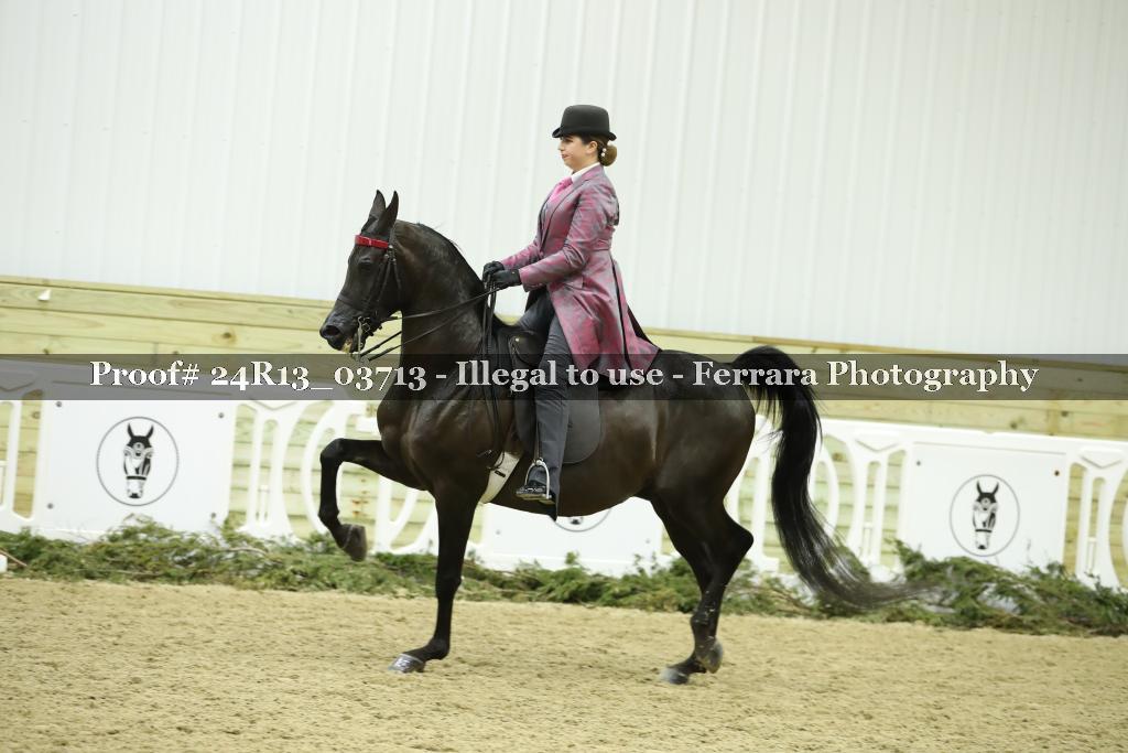 Proof 24R13_03713