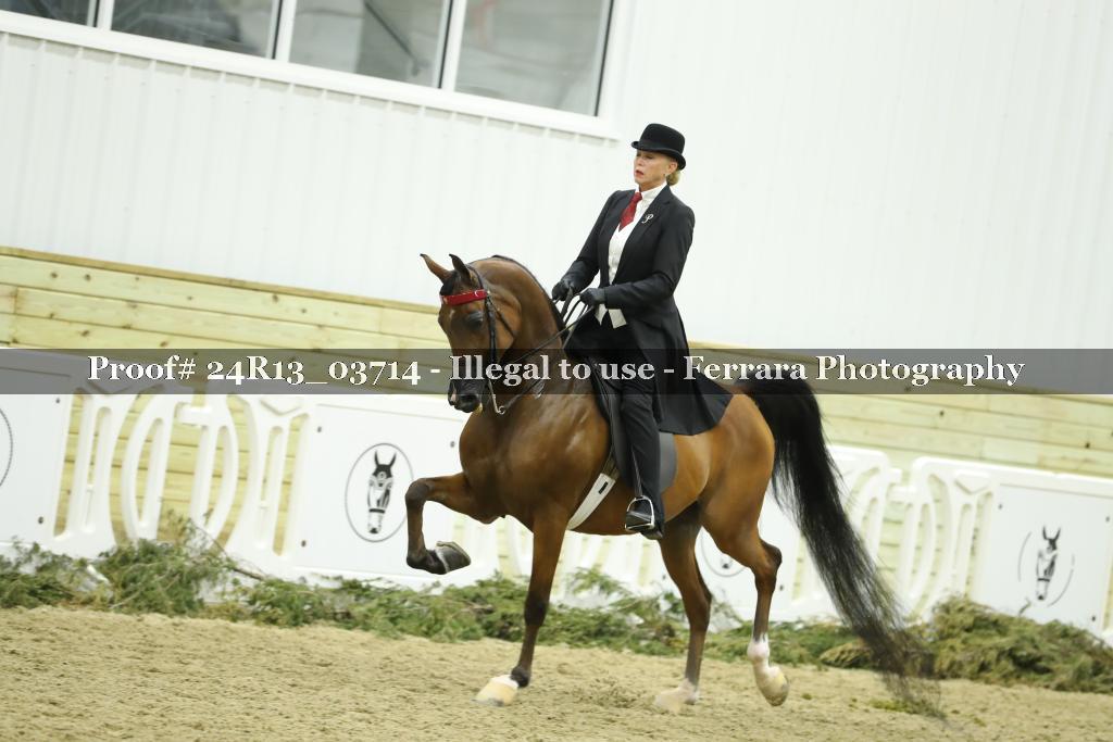 Proof 24R13_03714