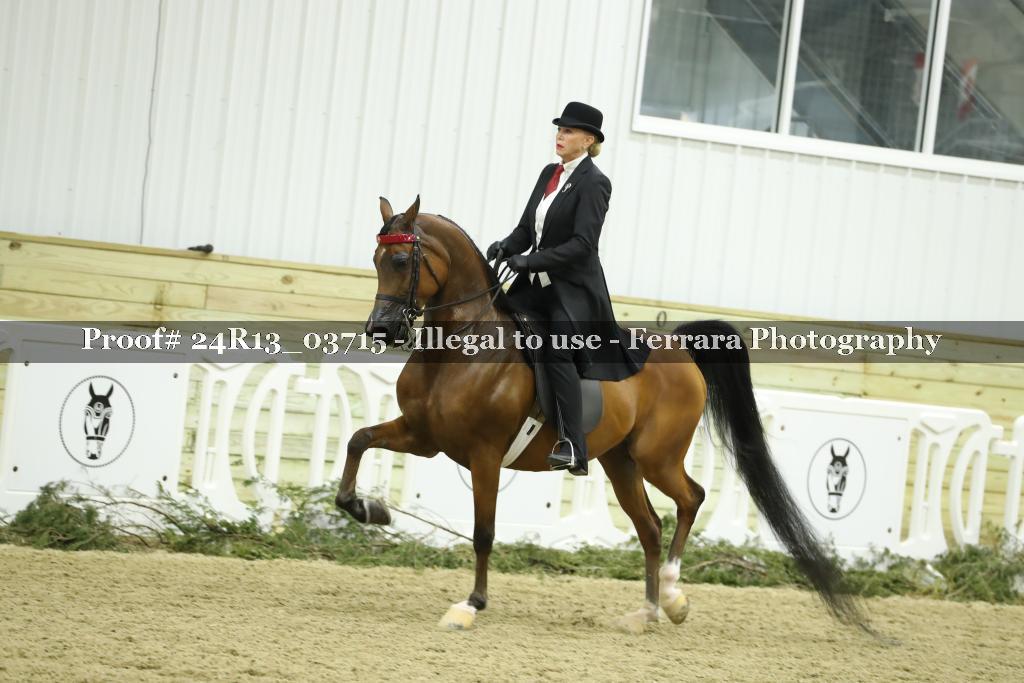 Proof 24R13_03715
