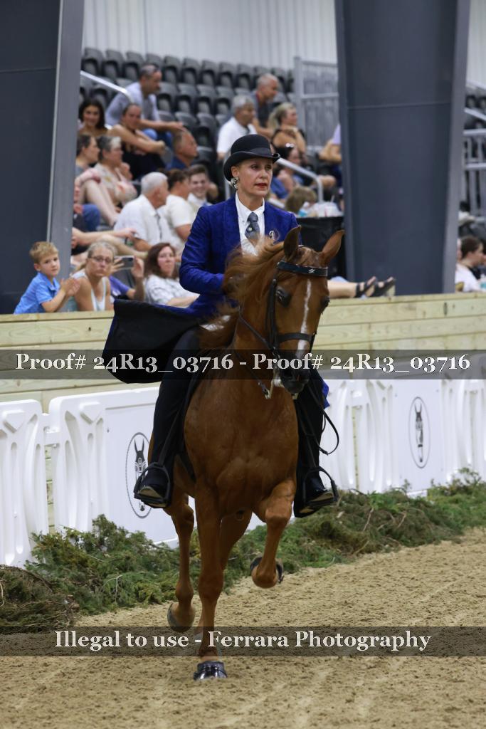 Proof 24R13_03716