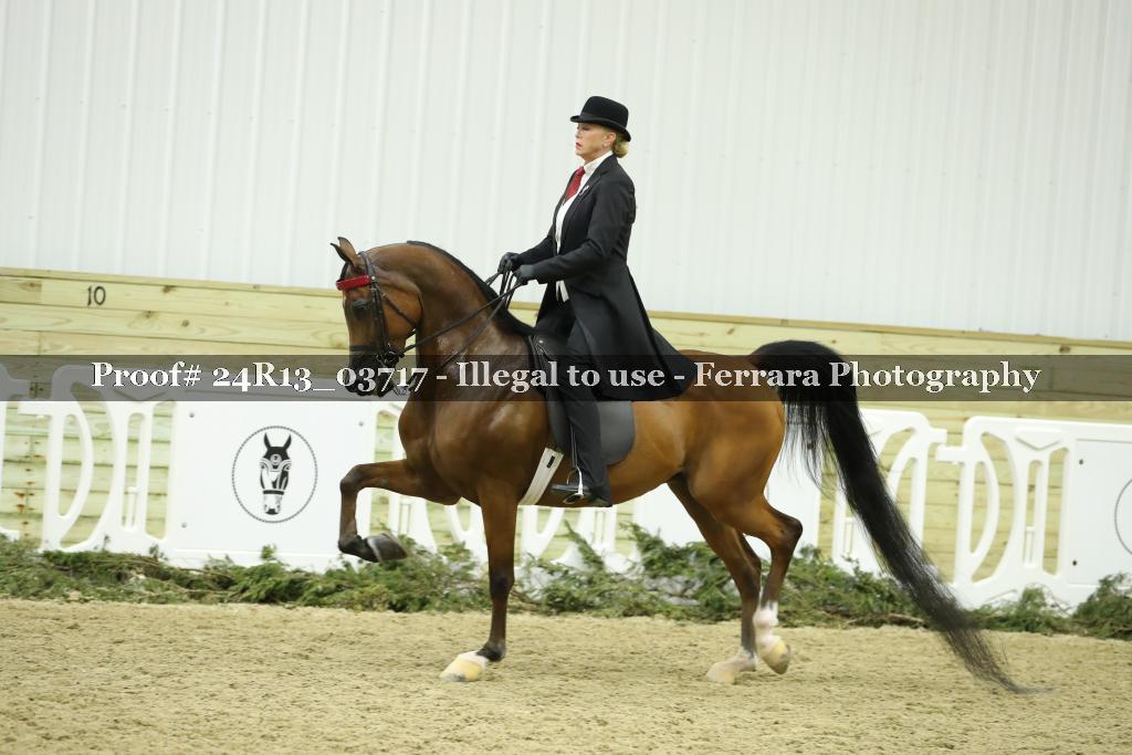 Proof 24R13_03717