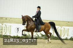 24R13_03717 proof