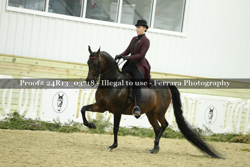 Proof 24R13_03718