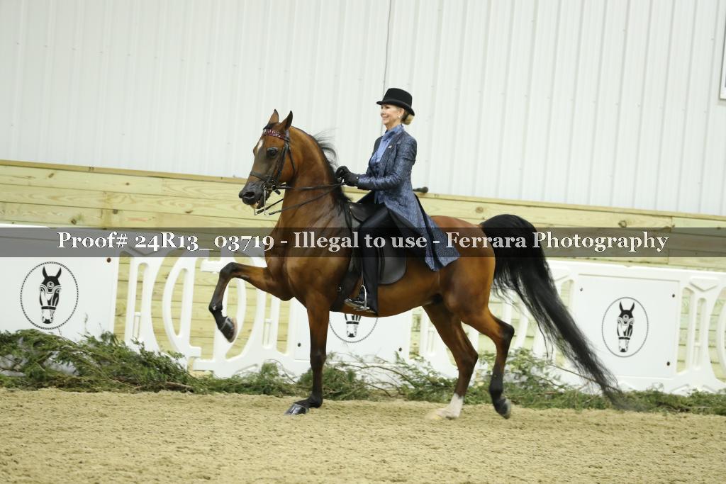 Proof 24R13_03719