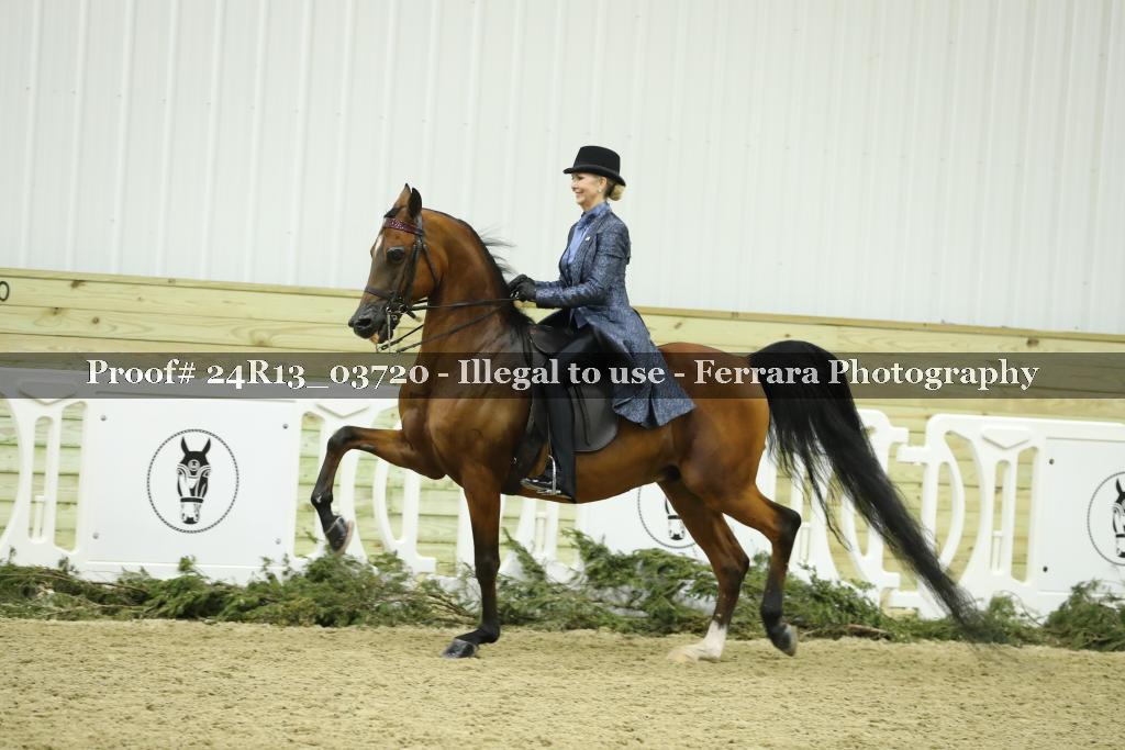Proof 24R13_03720