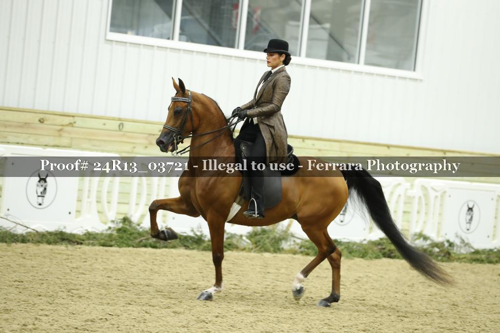 Proof 24R13_03721