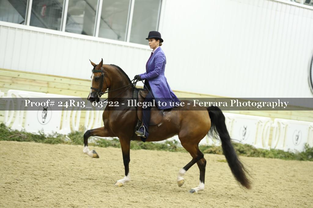 Proof 24R13_03722