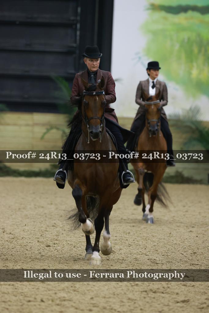 Proof 24R13_03723