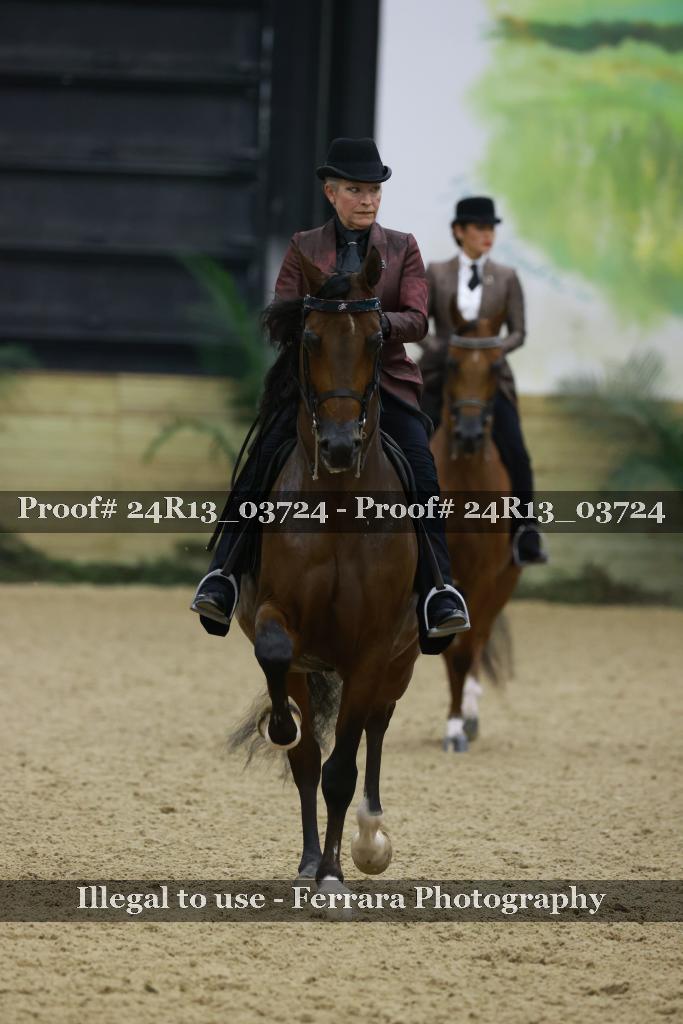 Proof 24R13_03724