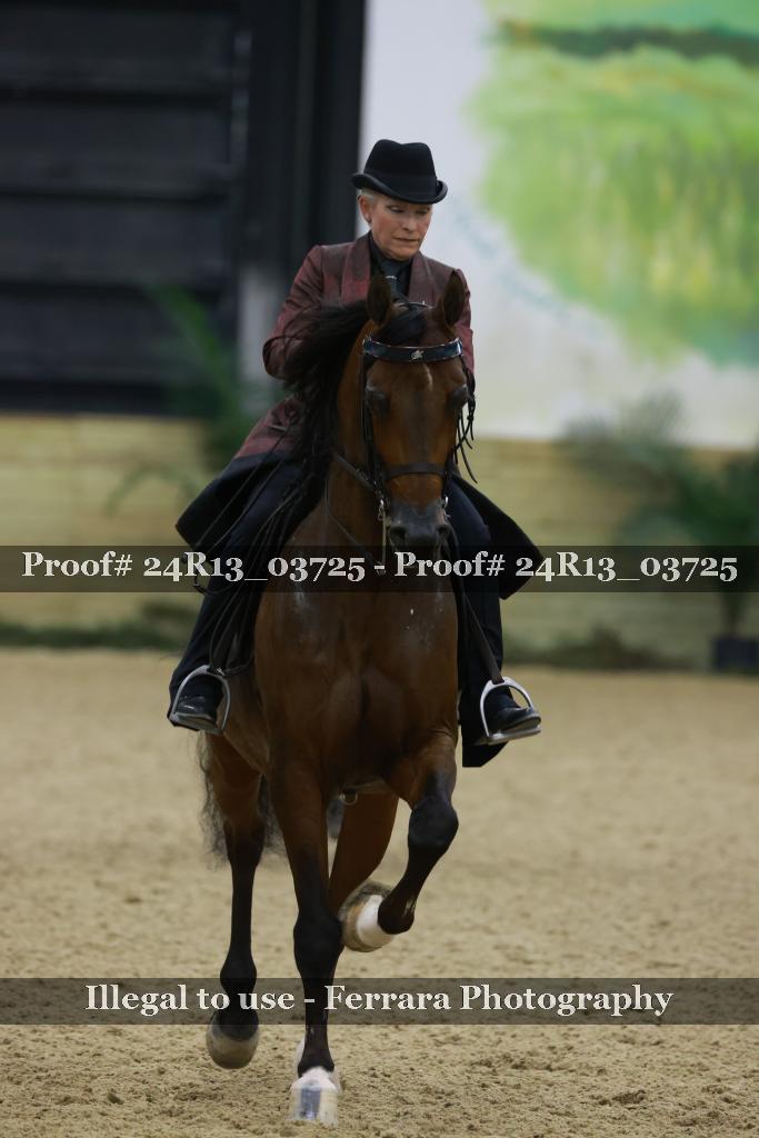 Proof 24R13_03725