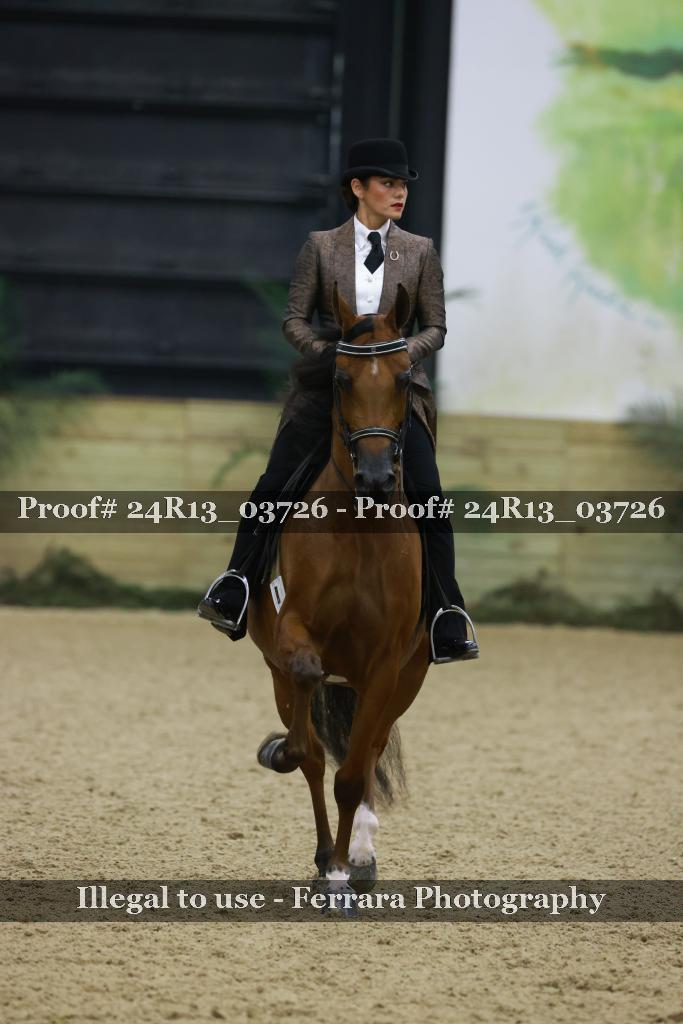 Proof 24R13_03726