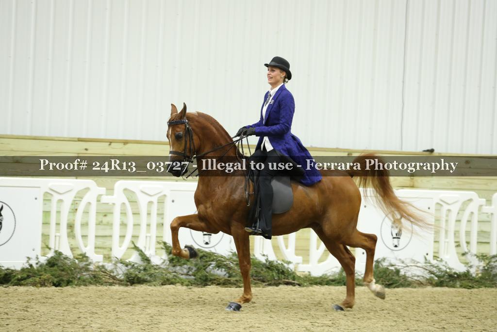 Proof 24R13_03727