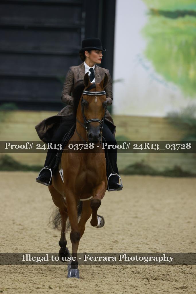 Proof 24R13_03728