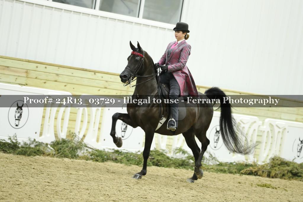 Proof 24R13_03729