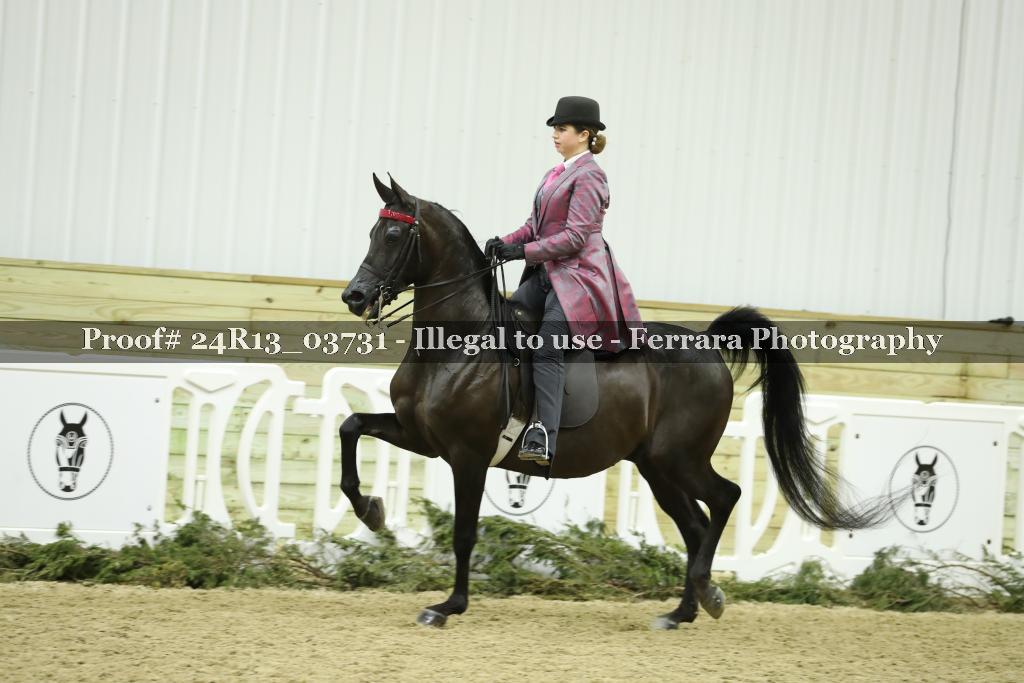 Proof 24R13_03731