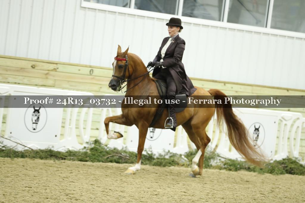 Proof 24R13_03732