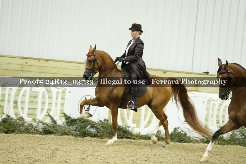 Proof 24R13_03733