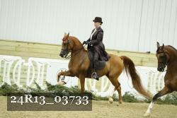 24R13_03733 proof