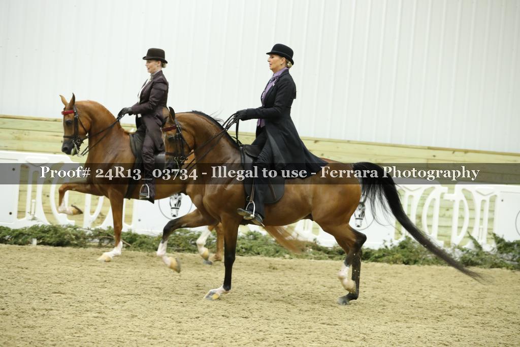 Proof 24R13_03734