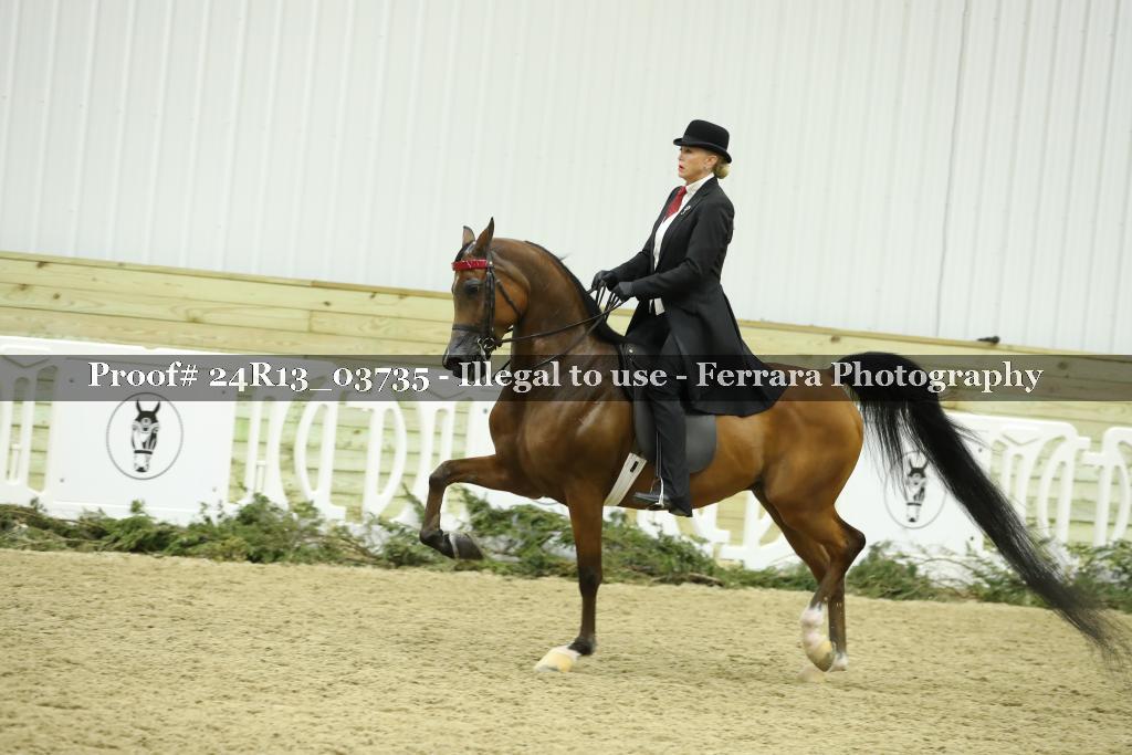 Proof 24R13_03735