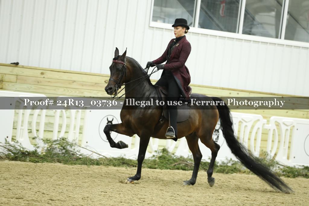 Proof 24R13_03736