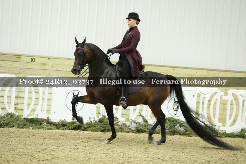 Proof 24R13_03737