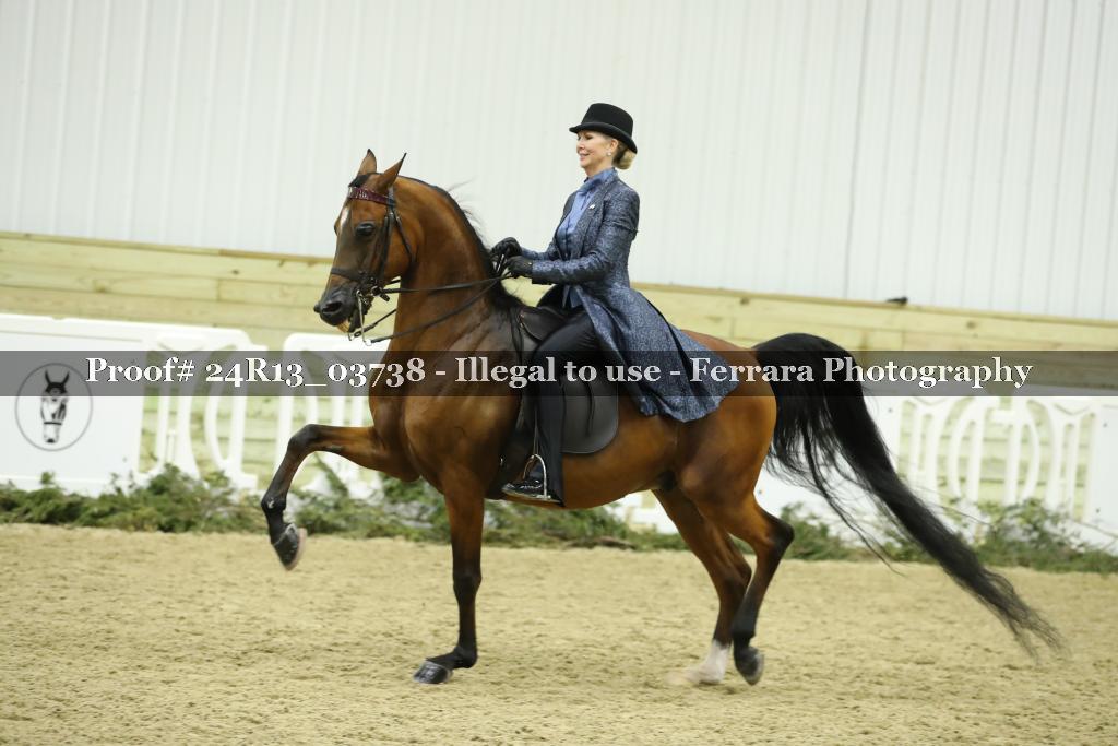 Proof 24R13_03738