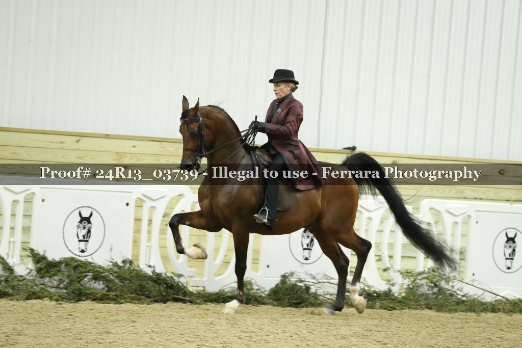 Proof 24R13_03739