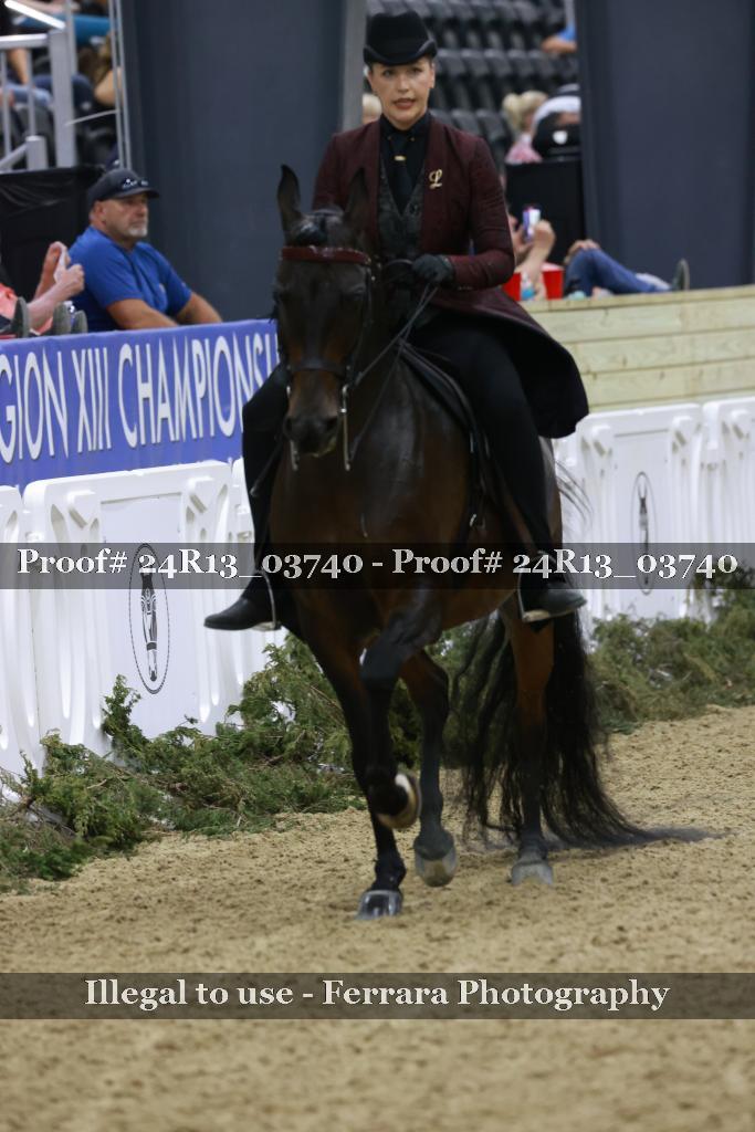 Proof 24R13_03740