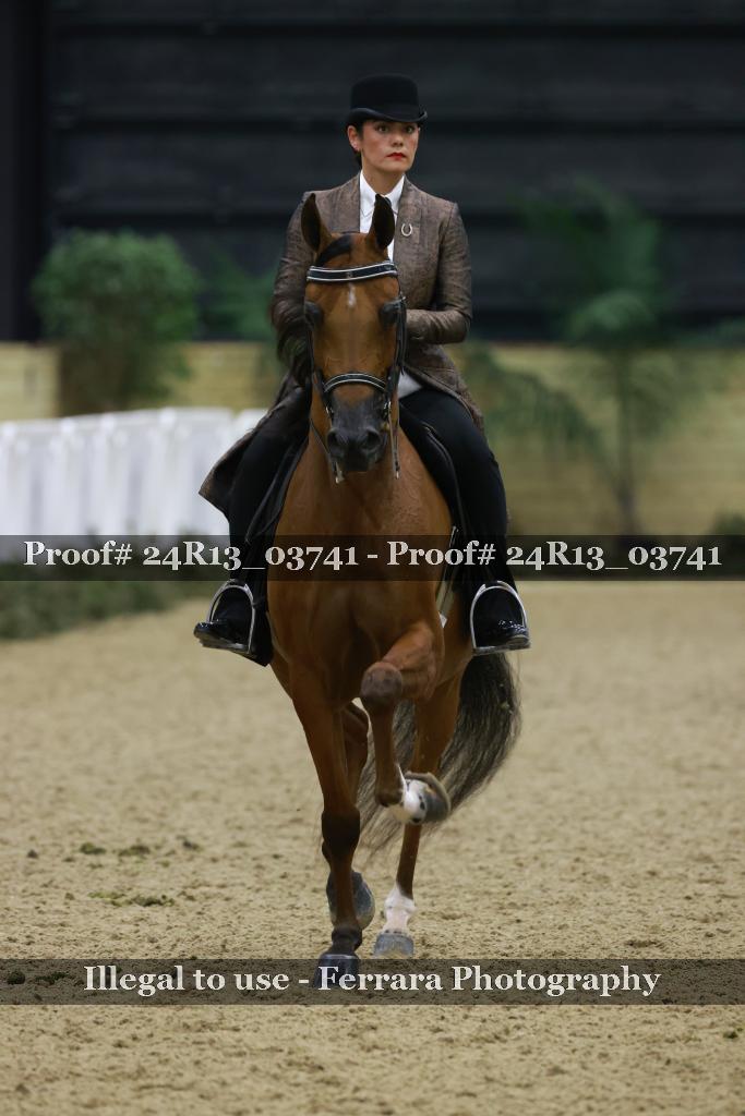 Proof 24R13_03741