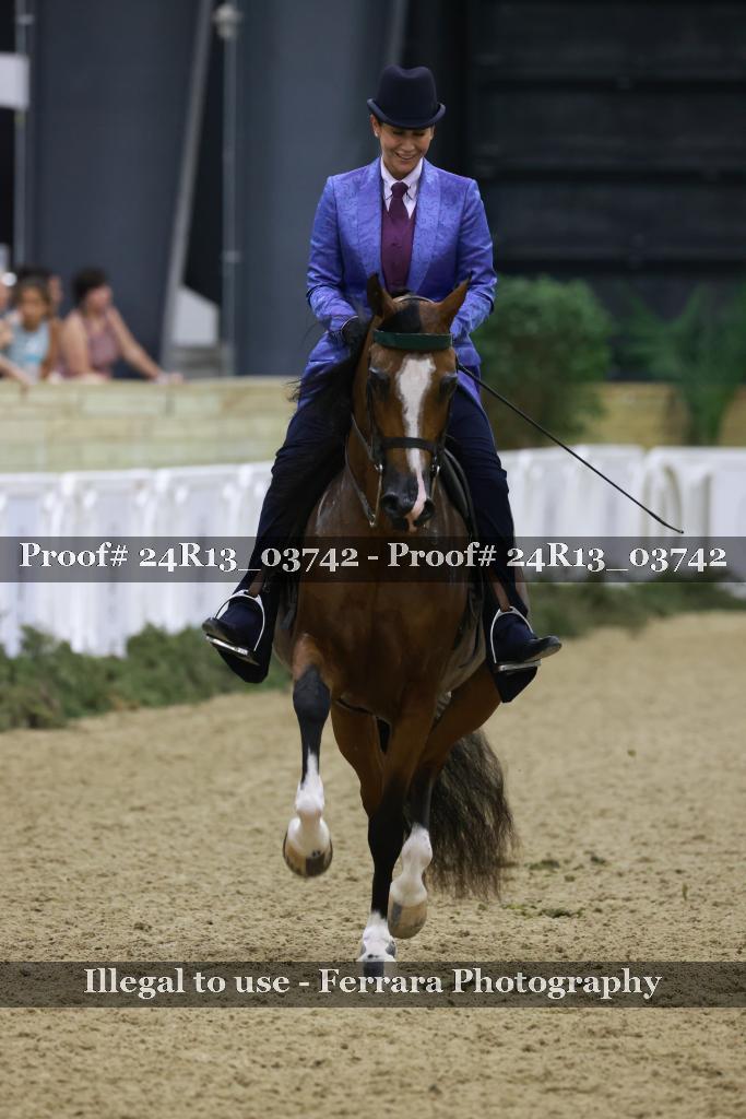 Proof 24R13_03742