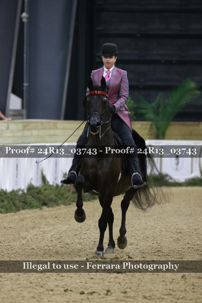 Proof 24R13_03743