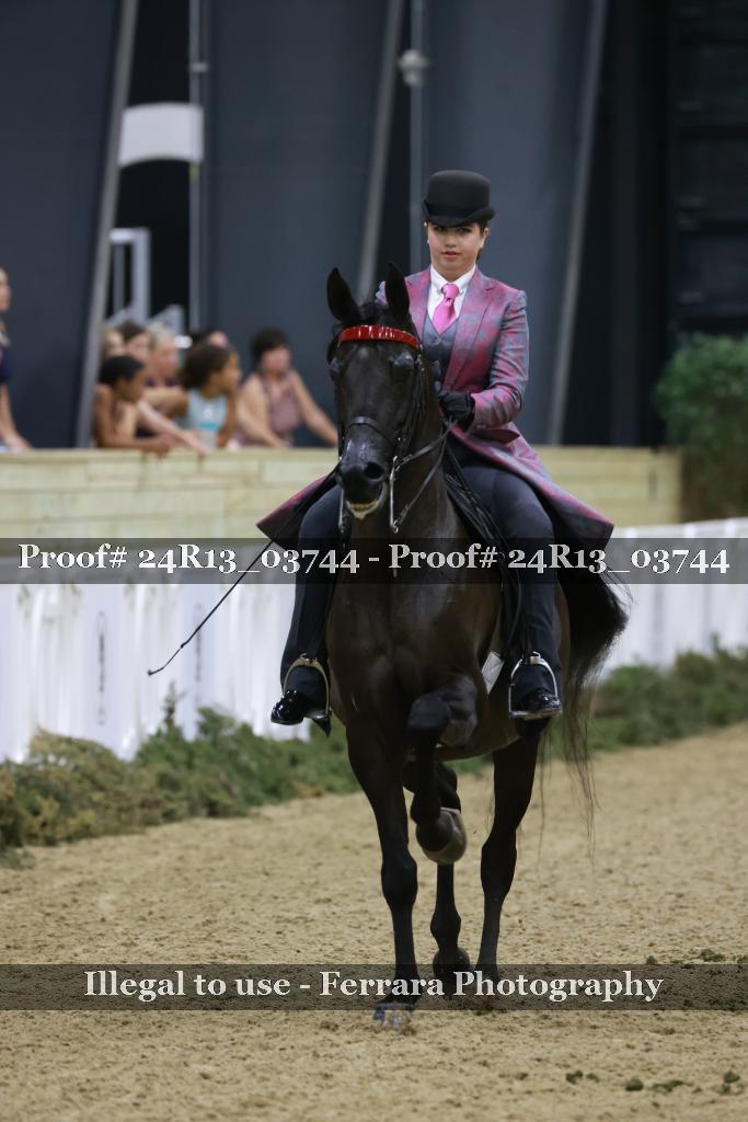 Proof 24R13_03744
