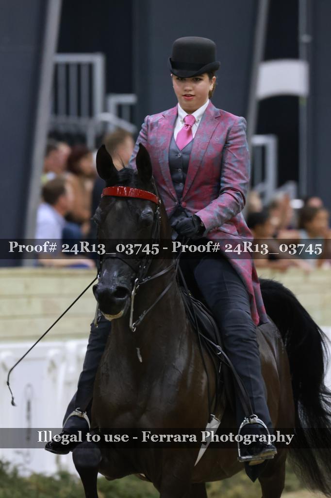 Proof 24R13_03745
