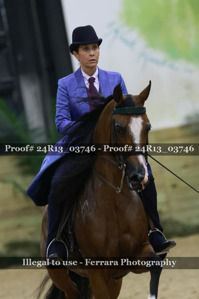 Proof 24R13_03746