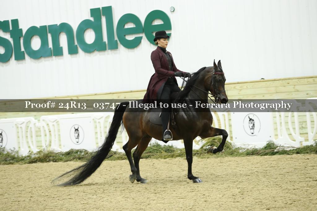 Proof 24R13_03747